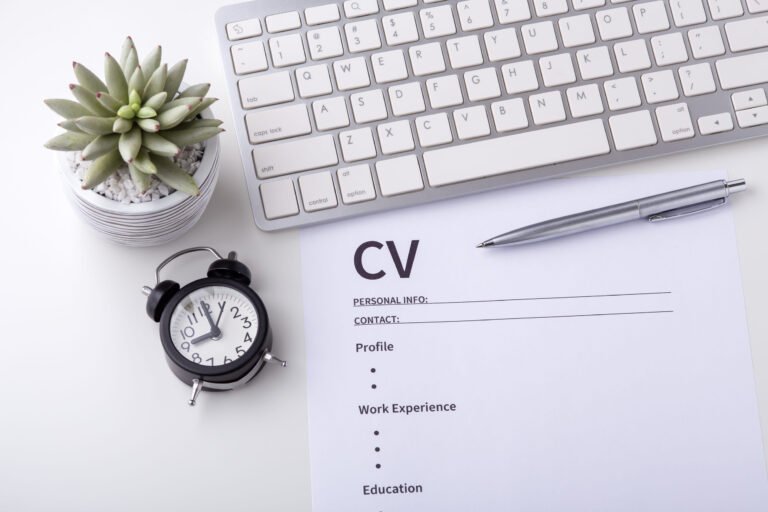 Expérience professionnelle : comment la présenter sur un CV avec des exemples ? Expérience professionnelle